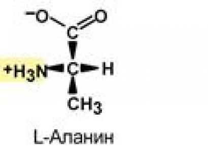 Физико-химические свойства аминокислот
